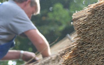 professional Penparcau thatchers